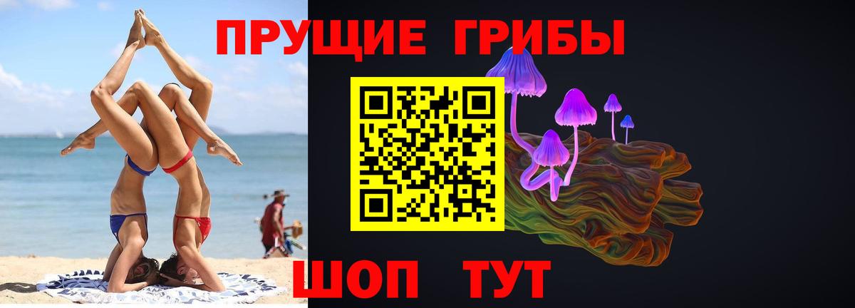 Псилоцибиновые грибы Psilocybine cubensis Елизово